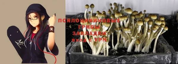 винт Приозерск