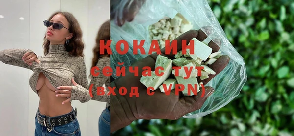 твердый Покачи