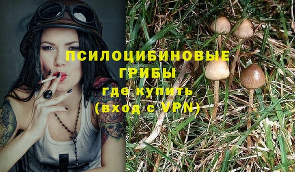 таблы Покровск