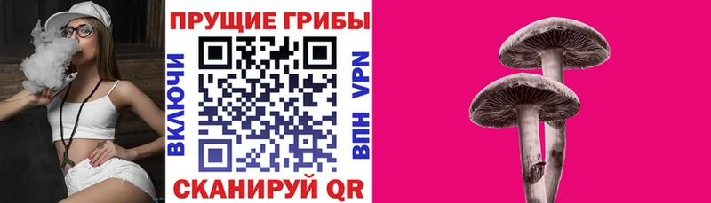 Галлюциногенные грибы GOLDEN TEACHER  Купить закладки  Чехов 